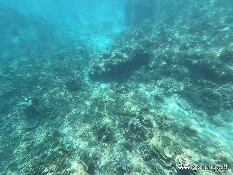 泰国普吉斯米兰跟团浮潜,泰国普吉岛自由潜水皇帝岛