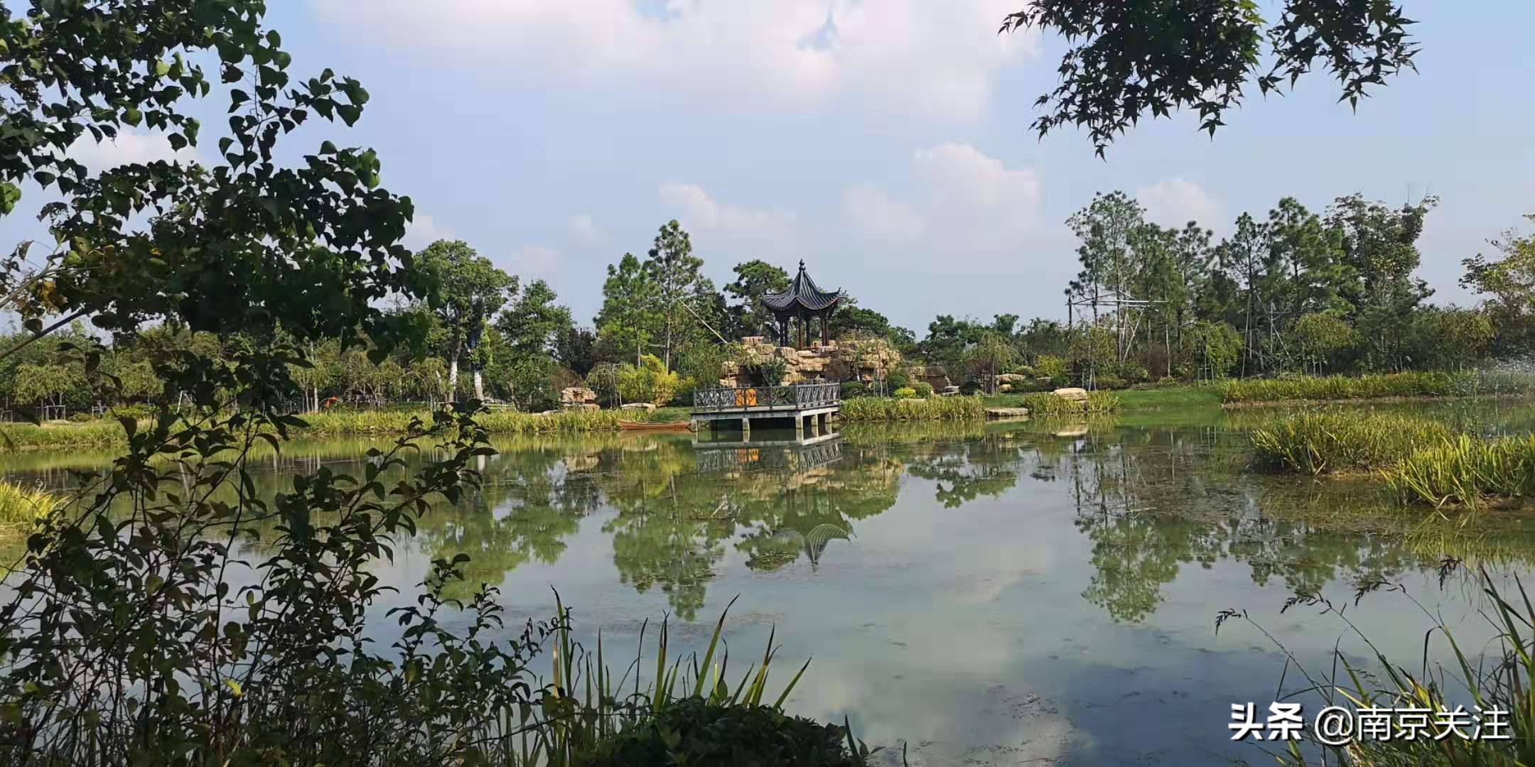 南京五一必打卡花海推荐,南京秋季网红打卡景点