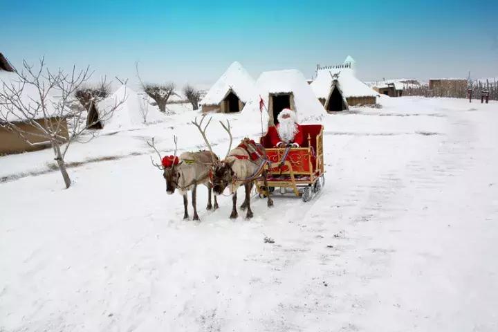 谁说冬天只有严寒,谁说大西北的荒漠寸草不生