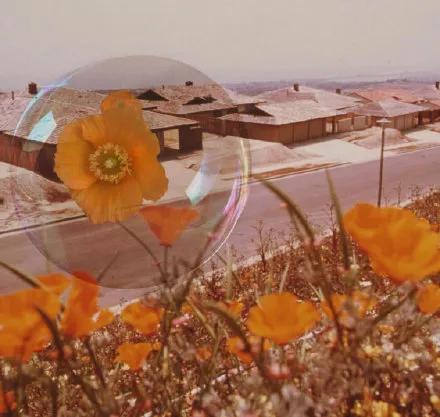 推荐8个大学生最适合的兼职副业,哪些兼职平台适合当作副业来做