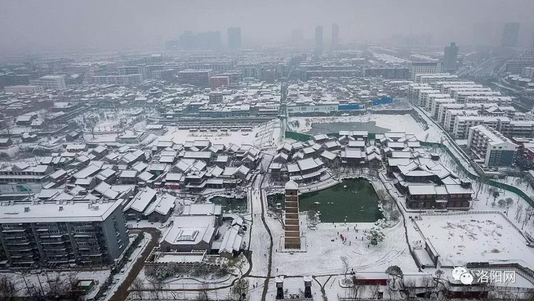 洛阳向全球推介,洛阳向世界发出邀请