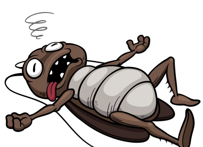 为什么把蟑螂踩死蟑螂会越来越多,涨知识野火烧不尽