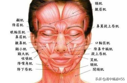 6个瘦脸妙招从大饼脸瘦成瓜子脸,瘦脸的方法脸怎么变瘦最快最有效