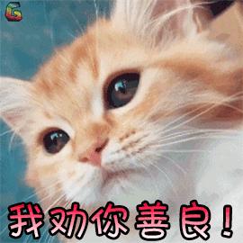 宠物吃生骨肉没有寄生虫么,宠物寄生虫对身体有害吗