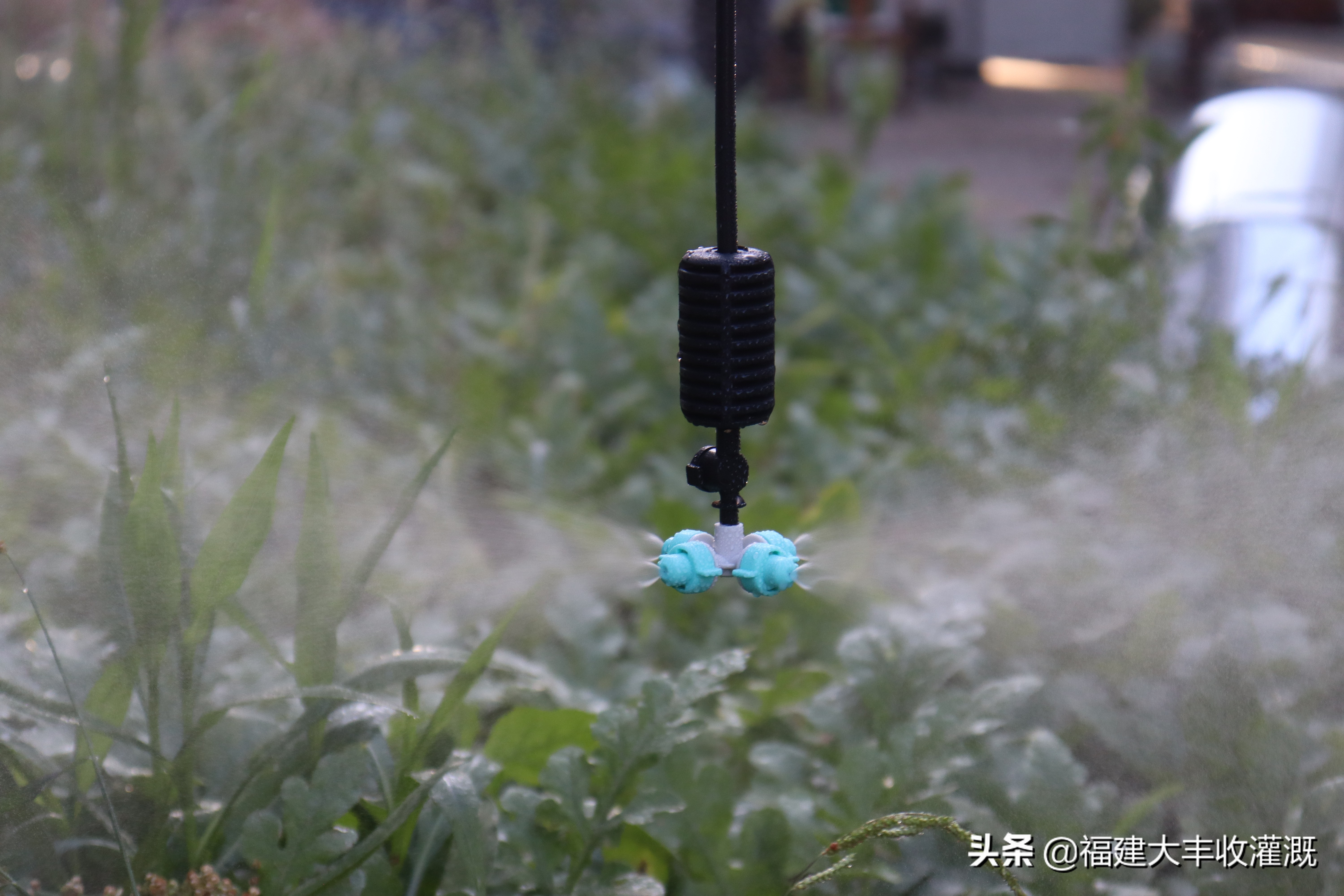 微喷灌溉设备全套喷头,微喷灌溉喷头原理