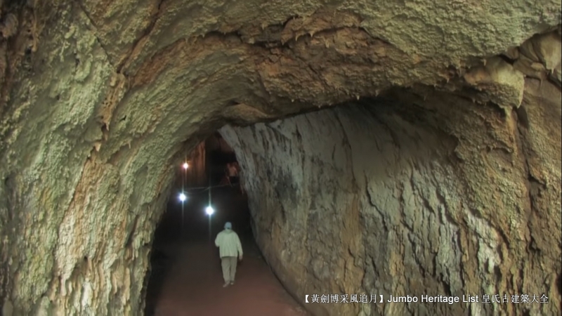 世界上最长寿的象龟多少岁,迄今发现最长寿的龟