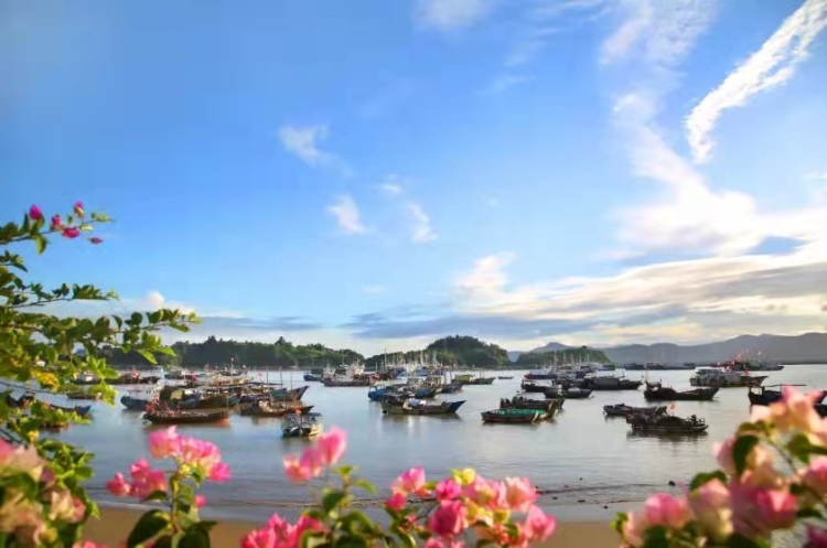 温州5个宝藏古村,温州宝藏打卡地