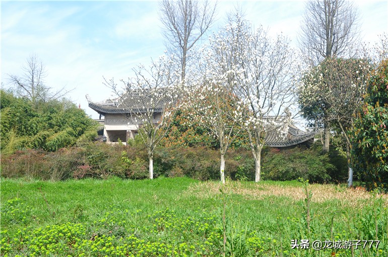 重游天一度假村,重游旧地去哪玩