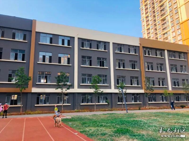 春城小学本部拆迁,春城小学金域校区基本情况