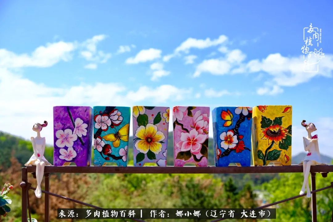 你是盆我是花，你护我周全，我为你绽放