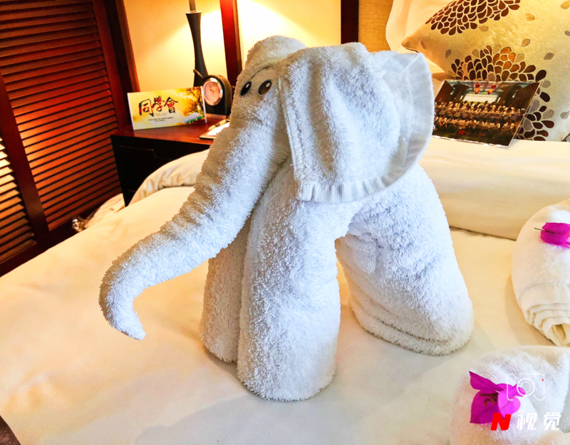 海南博鳌旅游酒店推荐,到海南住什么样的宾馆划算