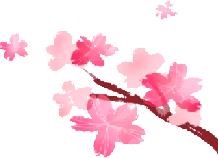 母亲节宫颈癌免费筛查,68岁有没有必要做宫颈癌筛查啊