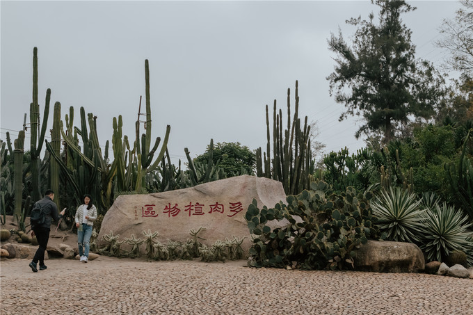 厦门旅游攻略两天两夜详细攻略,厦门旅游攻略一日游详细攻略