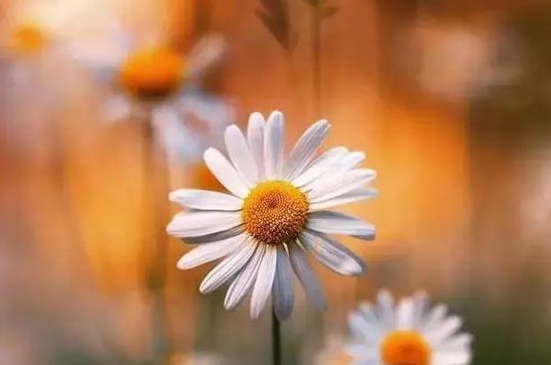 一个人睿智是什么意思,净化心灵的句子发朋友圈