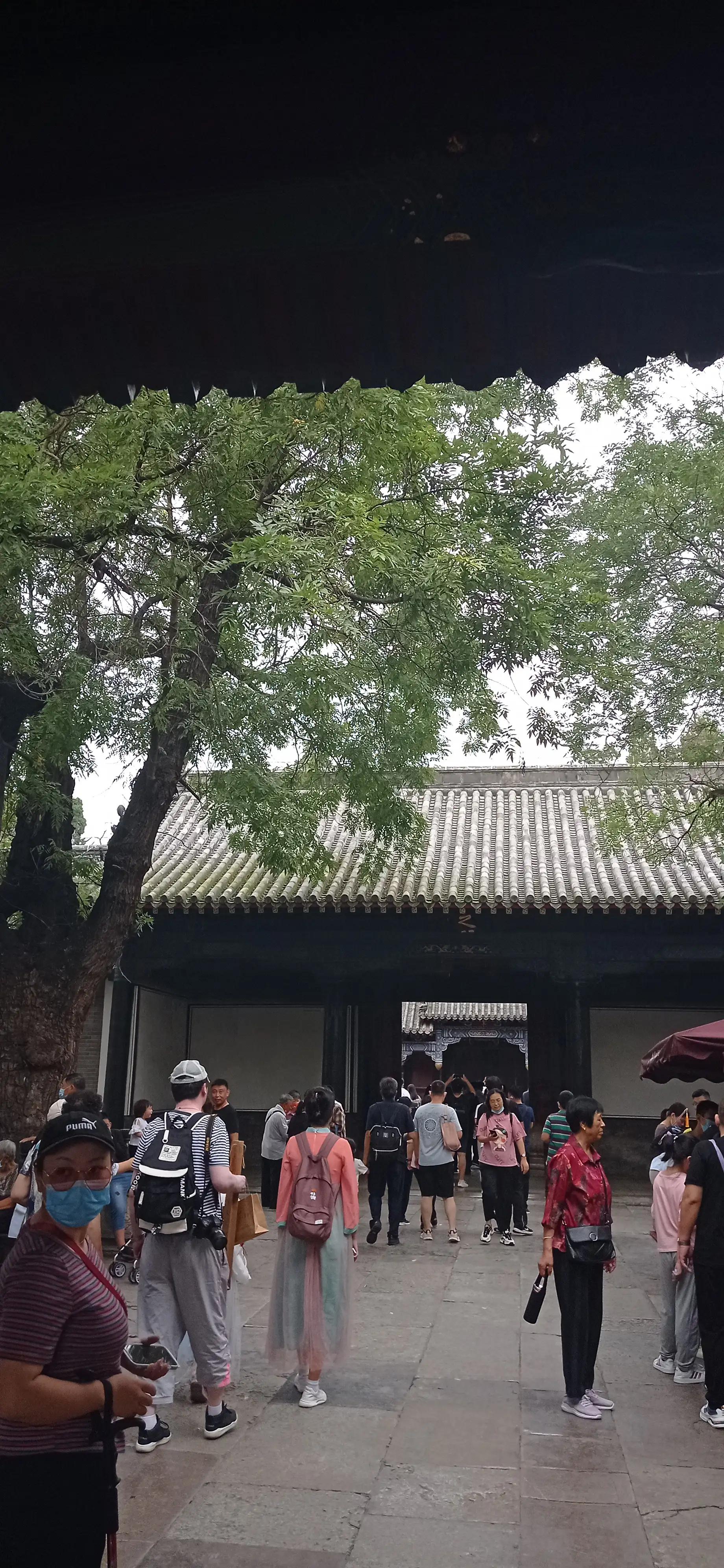 红细胞压积偏高注意什么,红细胞增多症注意事项