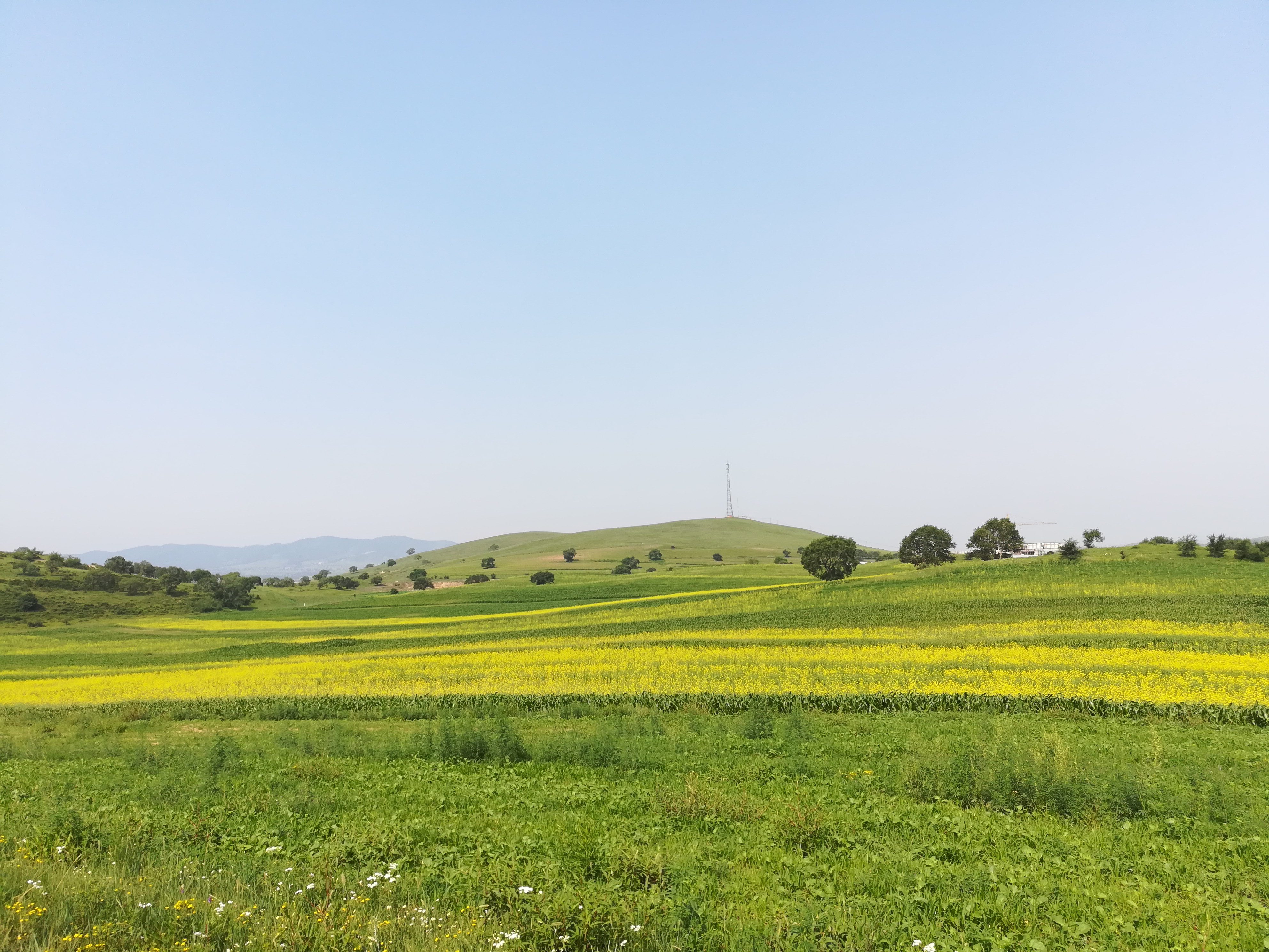 天边的草原乌拉盖抖音直播间,天边草原乌拉盖