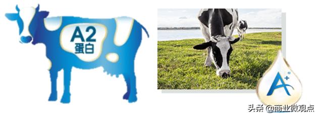 京东自营a2奶粉是正品吗,京东自营的a2奶粉靠谱吗