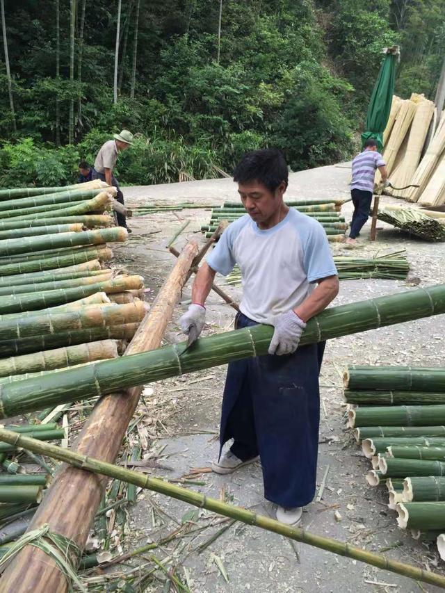 双11最荒唐的购物,双11奇葩买家秀