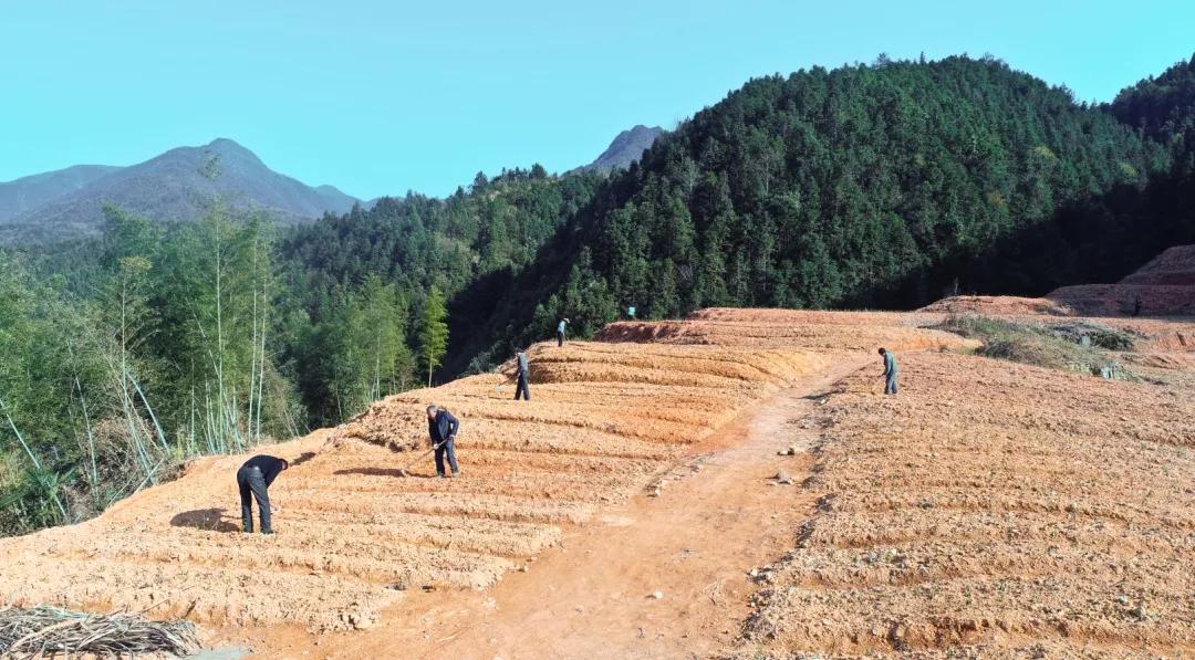 以真人真事改编微电影,真人真事改编的感人片