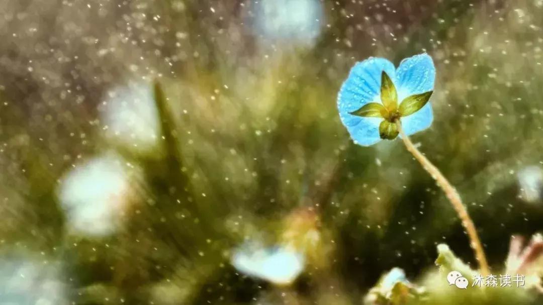 成功靠的不是运气而是努力图片,成功靠的不是运气而是因果