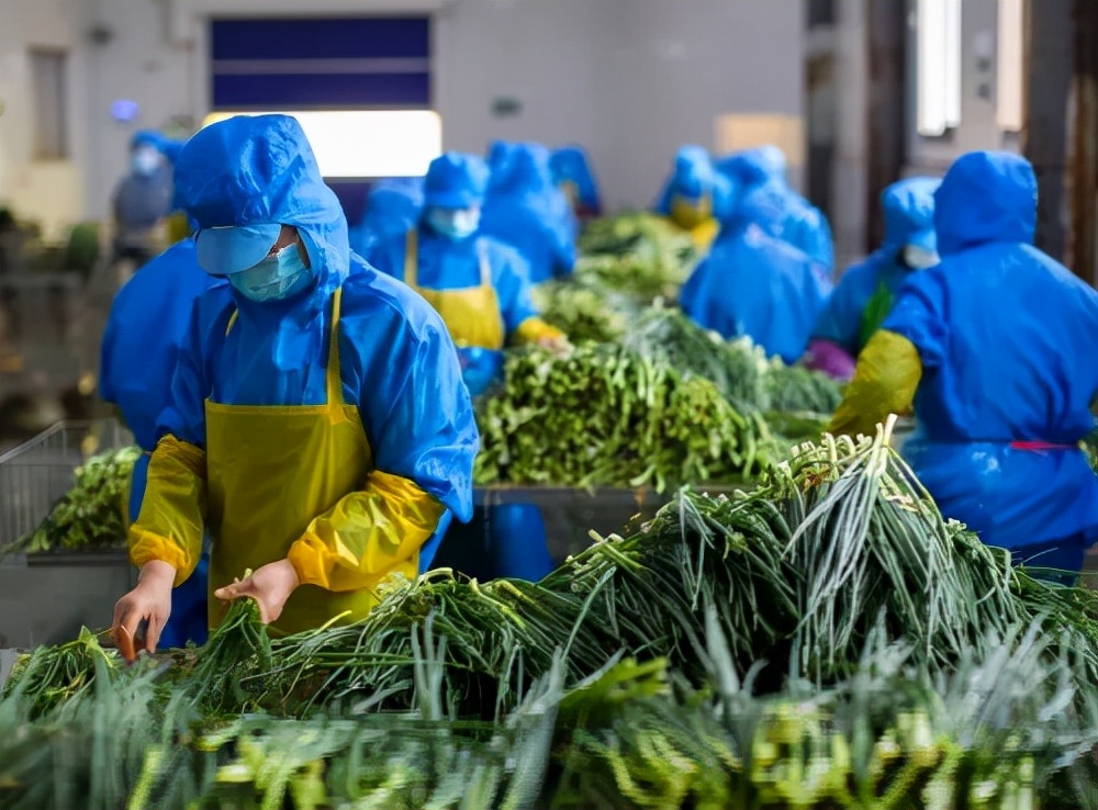 东台西瓜、盱眙龙虾……江苏这12种农产品可是国字号的