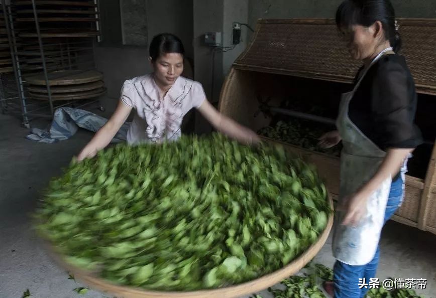 买茶叶应该选择品牌茶还是茶农茶,到底该选哪个茶叶好呢