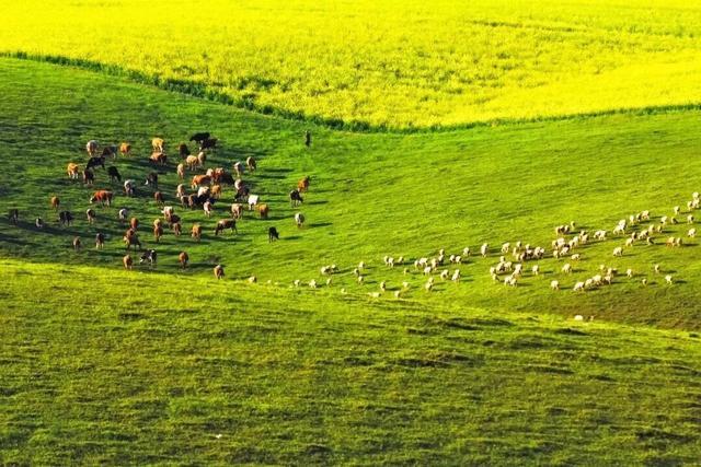 知乎上有个很火的问题,知乎上有一个很热门的话题