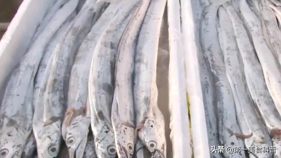 买带鱼记得要分清黑眼睛和黄眼睛,买带鱼黄眼睛和黑眼睛哪种好