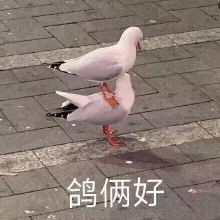 苏宁易购天猫旗舰店有假货吗,天猫旗舰店是不能卖假货吗