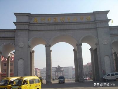 中国四大药都普宁,中国四大药都玉林