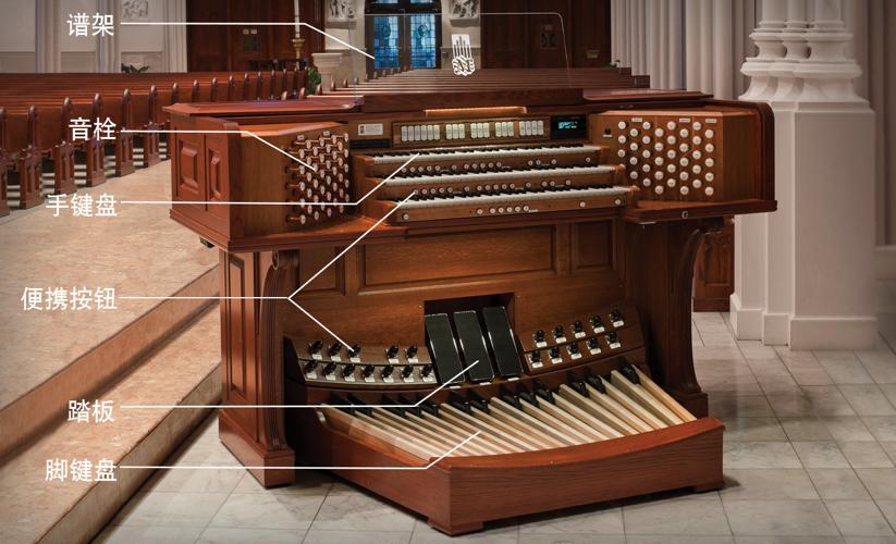 口琴口风琴竖笛哪个好学,口琴和口风琴图片