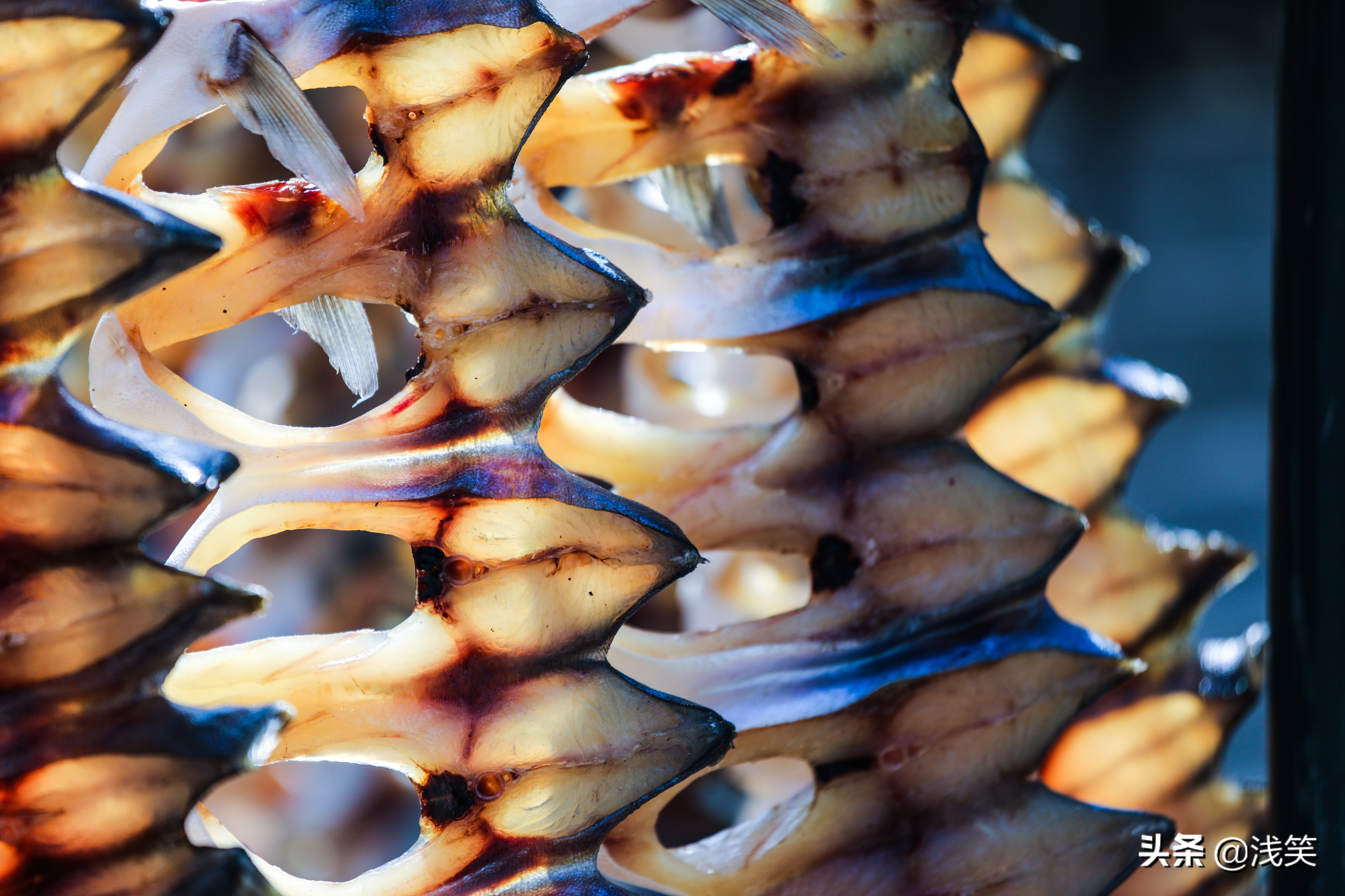 要看懂*江阳**,请走进渔村,这两个地方有意思