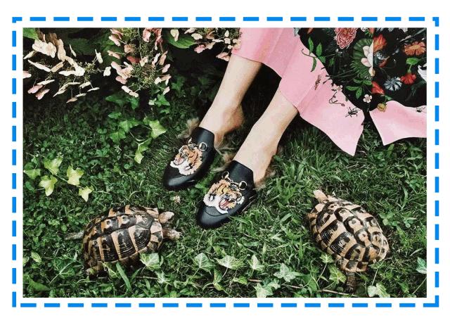 lv双肩包动物园,虎头背包动物园