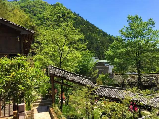 黄山小众美景,冬游黄山邂逅人间仙境