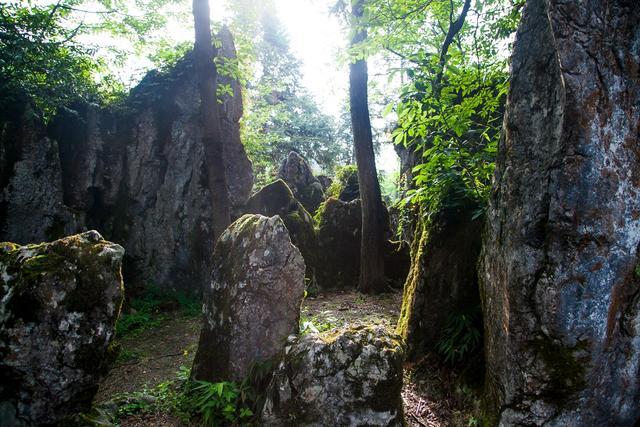 小平故里到华蓥山花海人家要多远,广安华蓥山小平故里