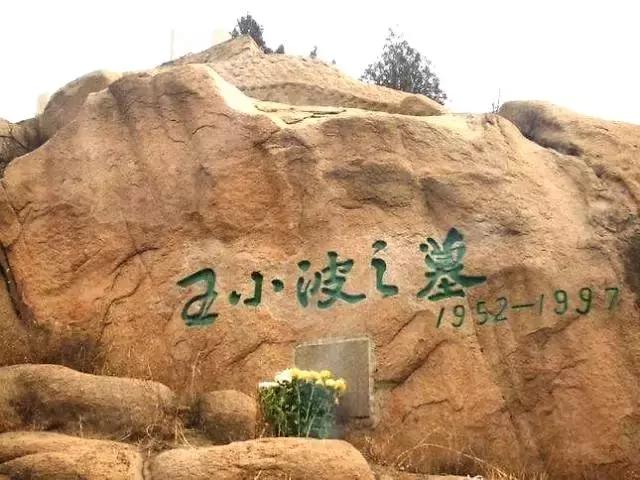 王小波：你好哇，李银河