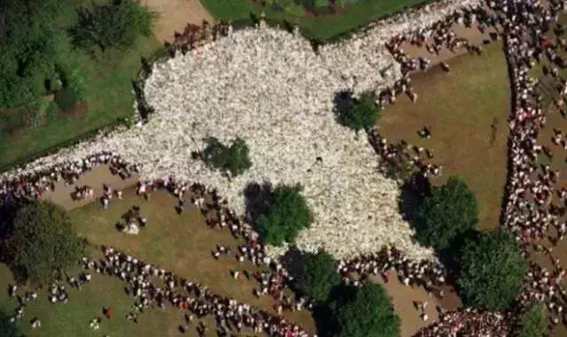 晒出一张你最珍贵的照片,看看你的相册里最珍贵的照片