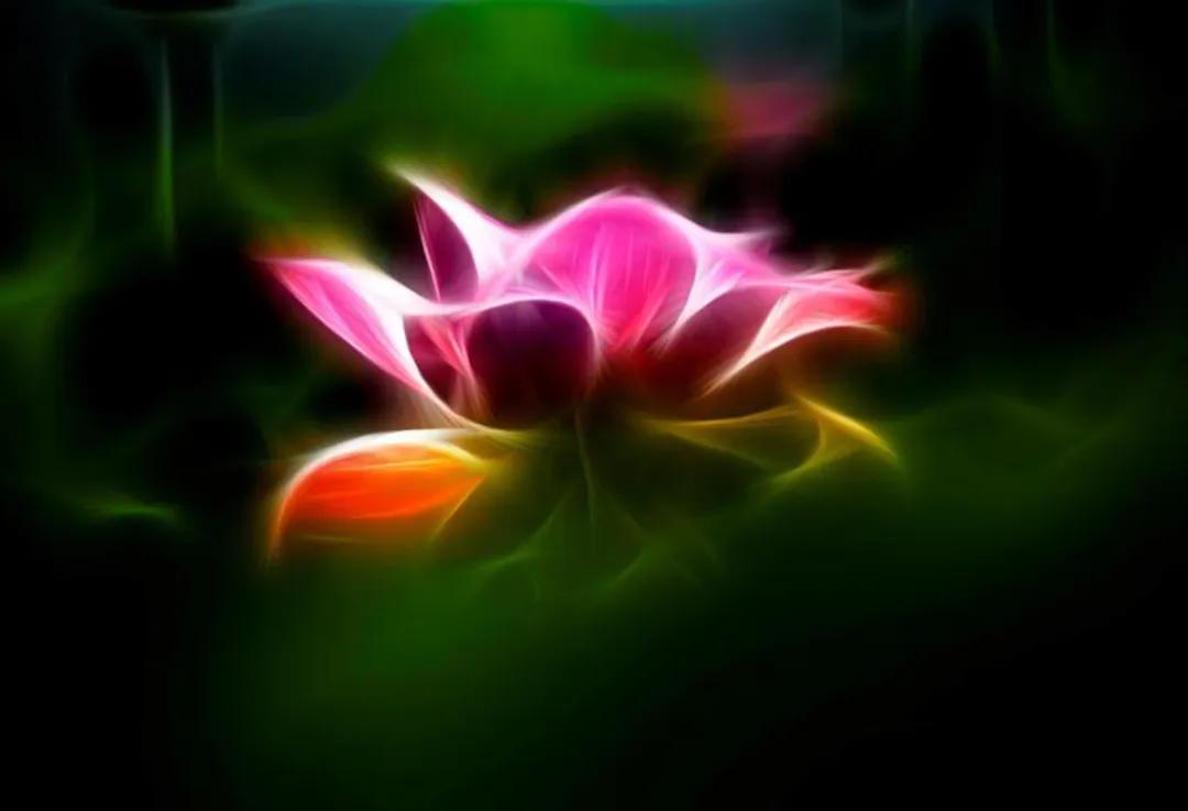 香港第14届全国摄影艺术展,第29届全国摄影艺术展览获奖名单