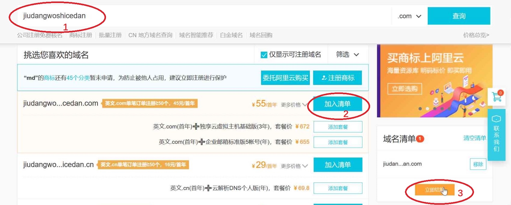 阿里云ecs域名购买,阿里云域名备案和服务器备案