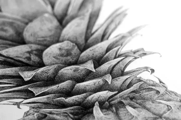 小央美钢笔画视频,极品五大钢笔画简直美爆