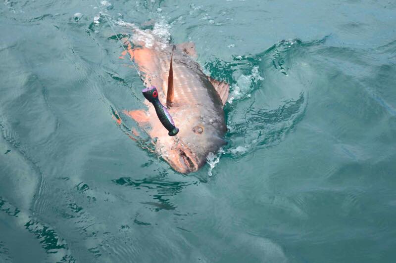 世界各地钓鱼爱好者,世界各地钓鱼的人