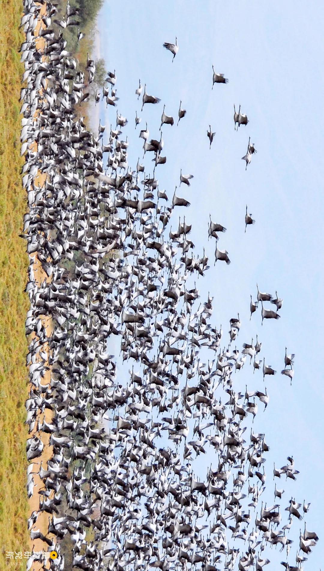 林草领域知识图谱,林草科普专业术语