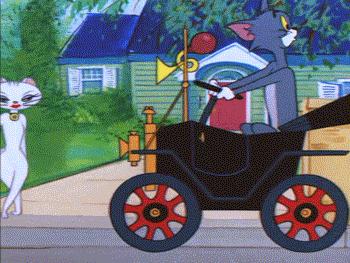 二十年后的汤姆猫,许多年后汤姆猫