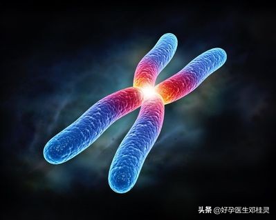 备孕担心孩子畸形需要做什么检查,备孕胎儿畸形