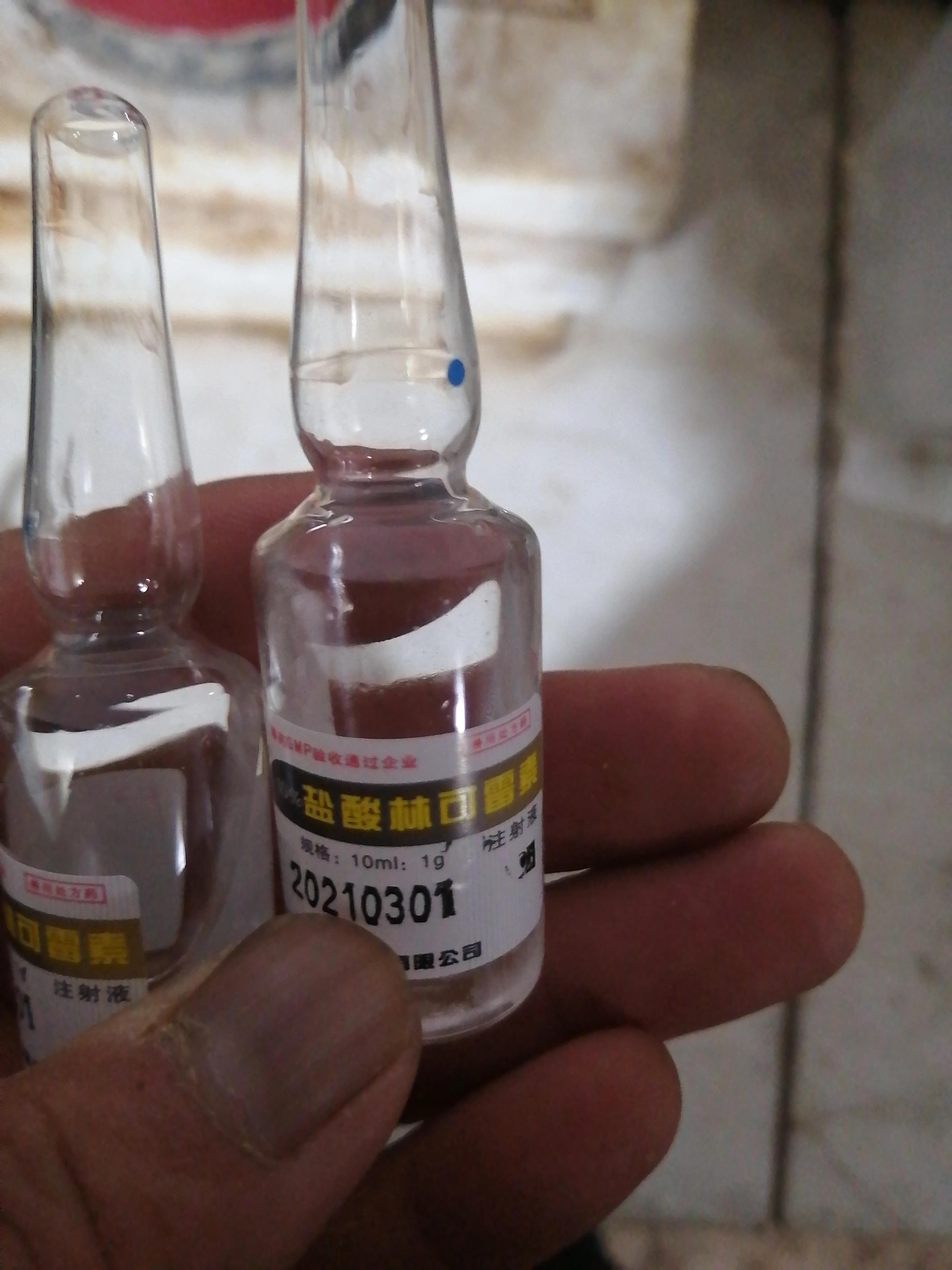 林可霉素在猪场中的十大妙用,林可霉素与双黄连混合治猪什么病