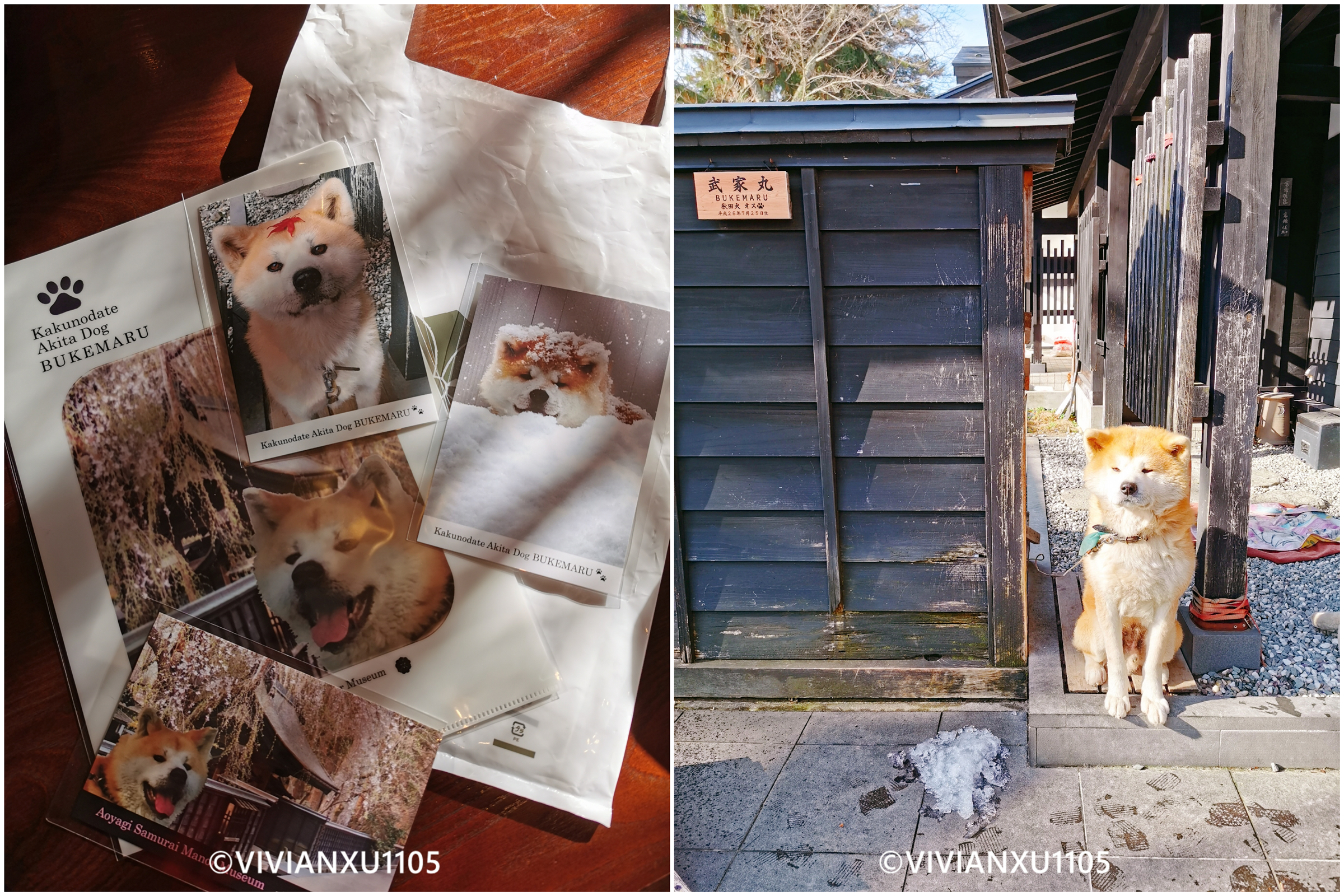 塑料母女深度解锁日本东北秋田县山形县