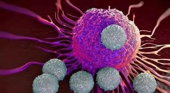 干细胞和免疫细胞培养,免疫细胞和干细胞应用方案