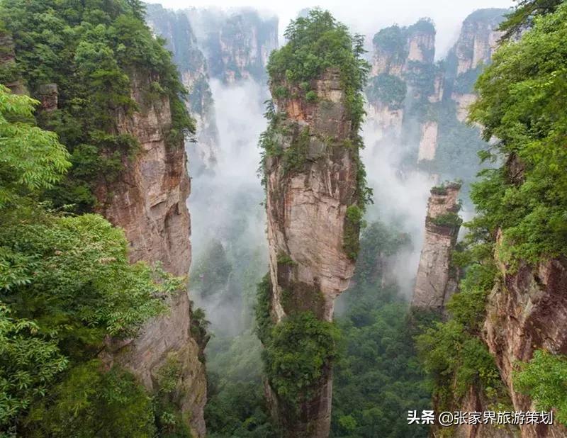 自由行张家界吃住旅游攻略,张家界旅游自由行详细攻略