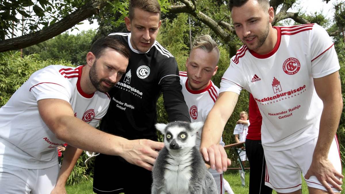 十张让人惊叹的照片,10张让人难以置信的照片