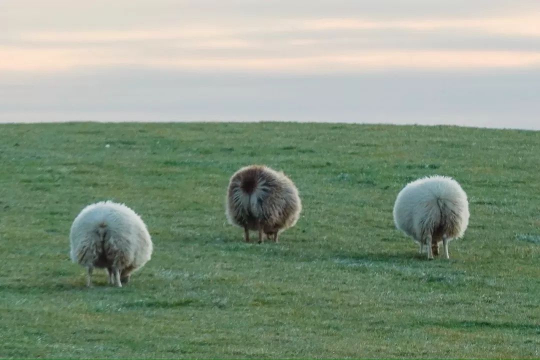 冰岛自驾最佳路线,冰岛的冒险之旅